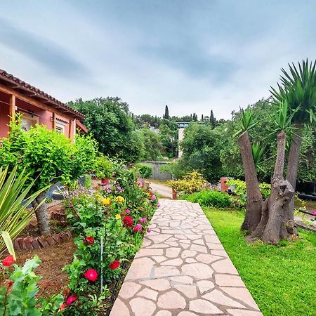 Bozikis Studios Paleokastritsa Bagian luar foto